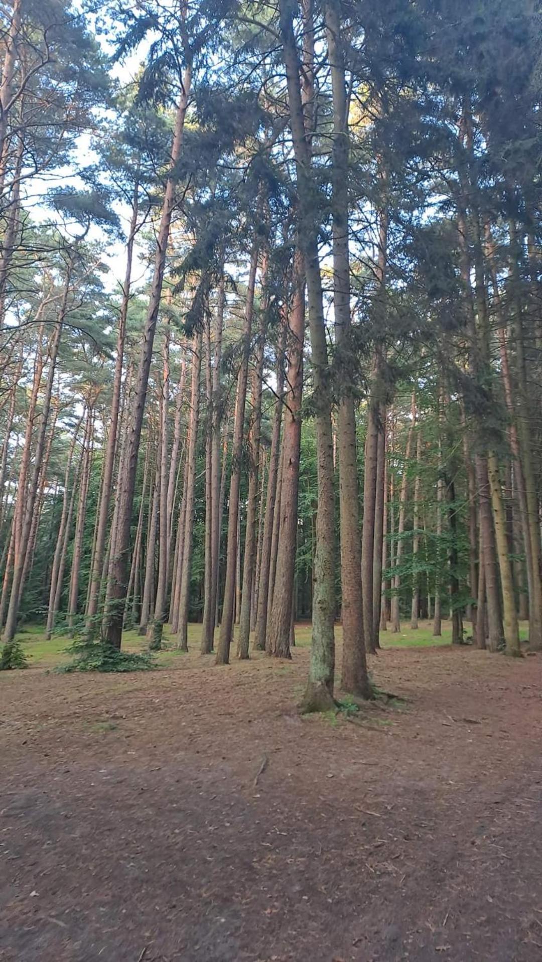 Pobierowo Baltic Apartaments D5 Exterior foto